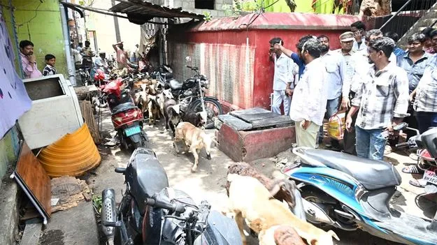  మాంసం మార్కెట్టా...  మురికి కూపమా?