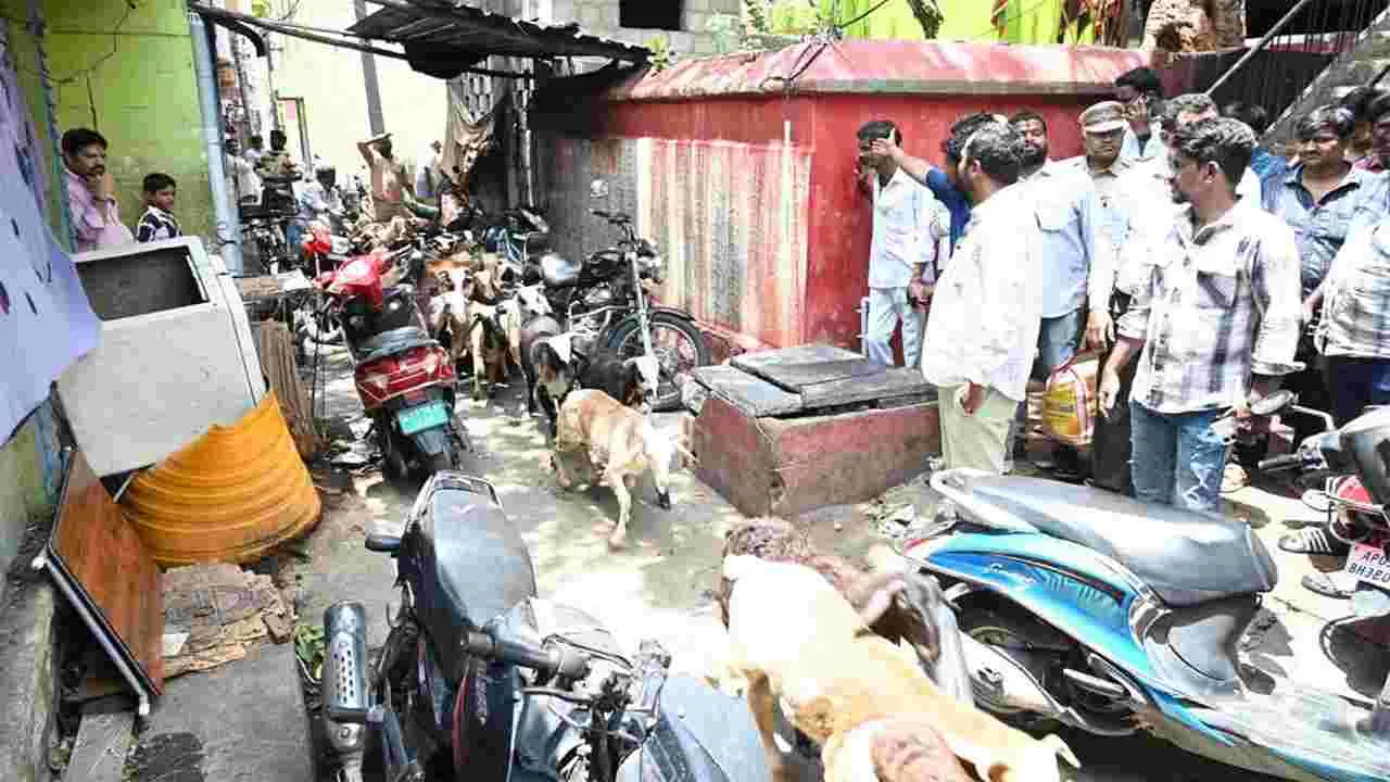 మాంసం మార్కెట్టా...  మురికి కూపమా?