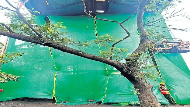 వేదాంతకు పీసీబీ చెక్‌