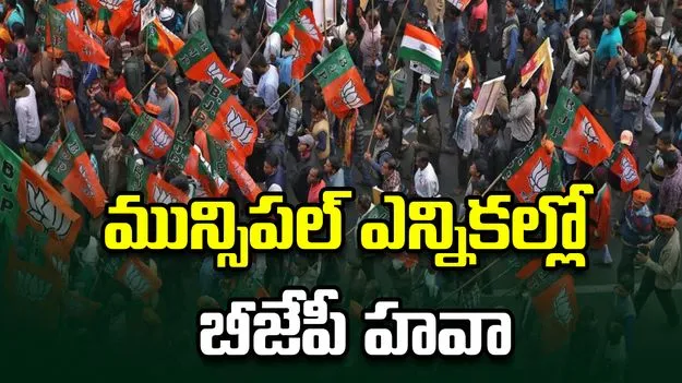 హిమాచల్‌ ప్రదేశ్ మున్సిపల్ ఎన్నికల్లో బీజేపీ హవా