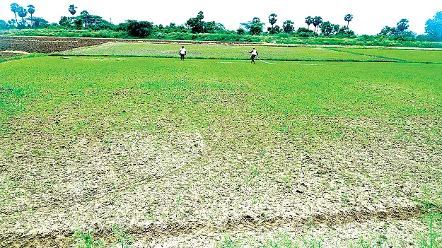 అడుగంటిన కుంటపైనే ఆశలు