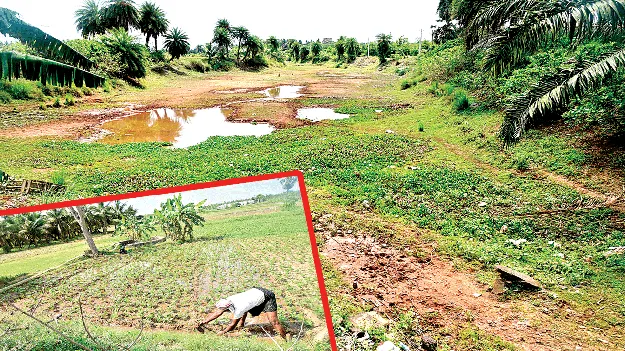 అడుగంటిన జలాలు.. అన్నదాత దిగాలు