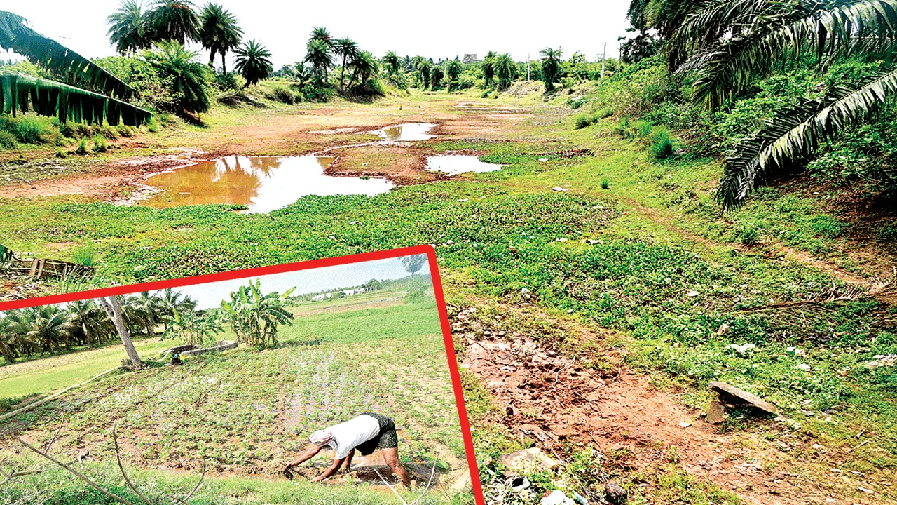 అడుగంటిన జలాలు.. అన్నదాత దిగాలు