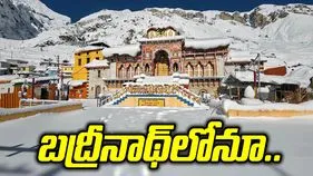 బద్రీనాథ్‌లో విరాళాల దుర్వినియోగం ఆరోపణలు.. విచారణకు ఆదేశాలు