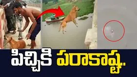 కుక్క మెడకు ఇటుక కట్టి నీటిలో పడేసిన యువకుడు.. చివరికి..