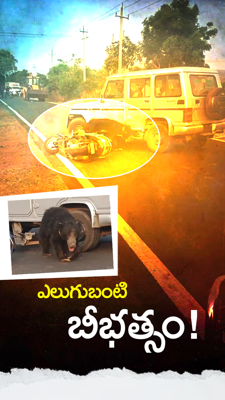 కర్ణాటకలో ఎలుగుబంటి బీభత్సం!