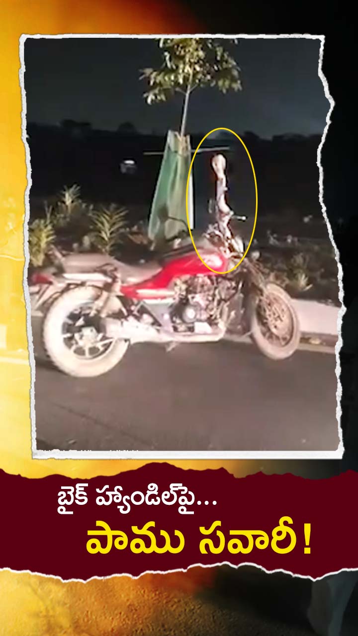 కోవై పుదూర్ రోడ్డుపై వింత దృశ్యం!