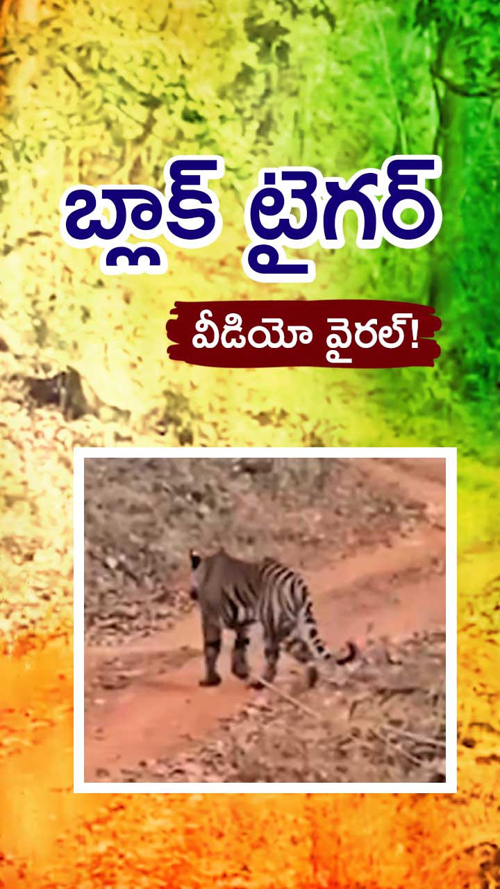 ABN Andhrajyothy Telugu Short News Video - Quick News Updates in 60 Seconds