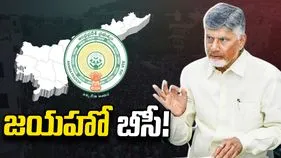 జయహో బీసీ!