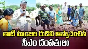 కుప్పంలో తాటి ముంజలు ఆస్వాదించిన సీఎం దంపతులు