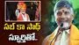మోదీ దార్శనికతపై ప్రజల విశ్వాసం పెరుగుతోంది: సీఎం చంద్రబాబు