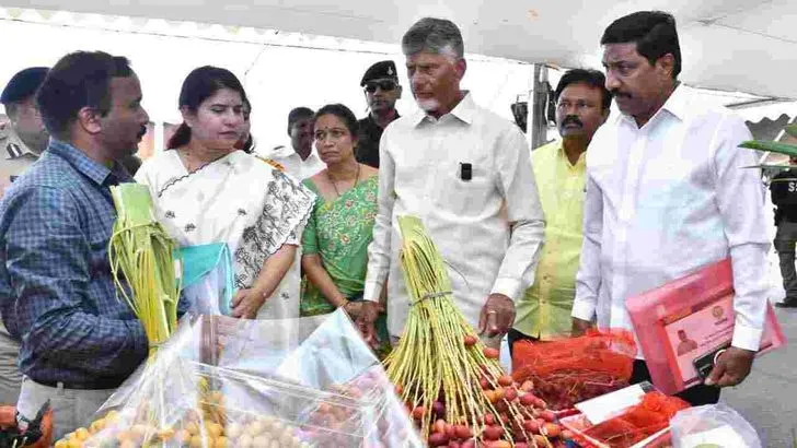 నంద్యాల జిల్లాలో పాస్ పుస్తకాలు పంపిణీ చేసిన సీఎం చంద్రబాబు