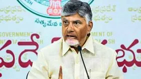 కూటమి నేతలతో జూమ్ మీటింగ్.. సీఎం చంద్రబాబు కీలక ఆదేశాలు