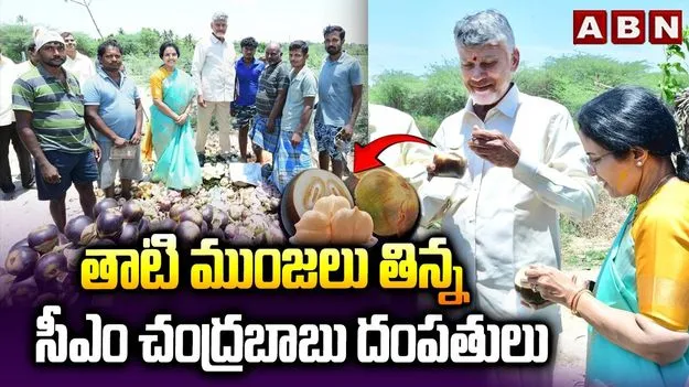 కుప్పంలో తాటి ముంజలు ఆస్వాదించిన సీఎం దంపతులు