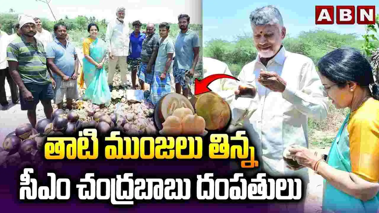 కుప్పంలో తాటి ముంజలు ఆస్వాదించిన సీఎం దంపతులు