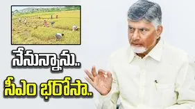అకాల వర్షాలతో పంట దెబ్బతిన్న రైతన్నలను ఆదుకుంటాం: సీఎం చంద్రబాబు