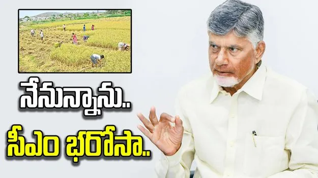 అకాల వర్షాలతో పంట దెబ్బతిన్న రైతన్నలను ఆదుకుంటాం: సీఎం చంద్రబాబు