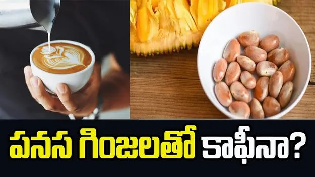 పనస గింజలతో కాఫీని తయారు చేయవచ్చా?
