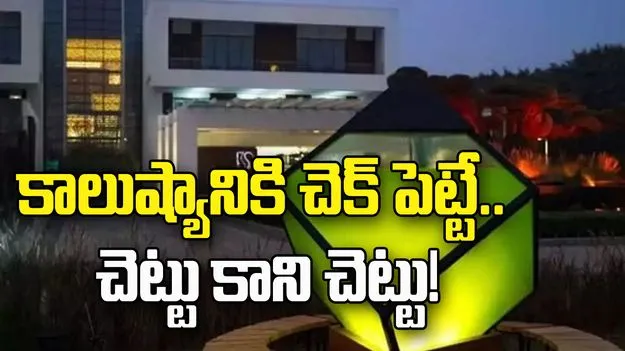 కాలుష్యానికి చెక్‌ పెట్టే.. చెట్టు కాని చెట్టు!