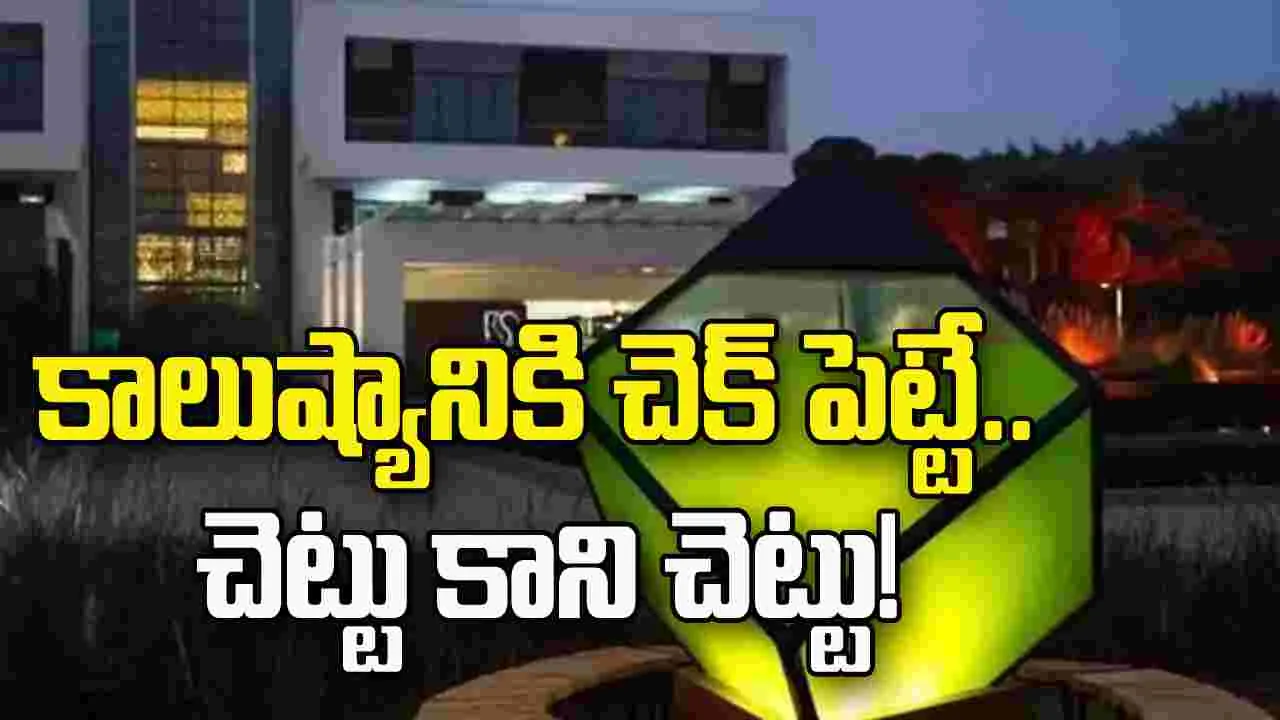 కాలుష్యానికి చెక్‌ పెట్టే.. చెట్టు కాని చెట్టు!