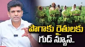 పొగాకు రైతులకు భారీ సహాయ ప్యాకేజీ ప్రకటించిన కేంద్ర, రాష్ట్ర ప్రభుత్వాలు