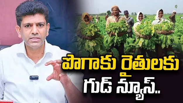 పొగాకు రైతులకు భారీ సహాయ ప్యాకేజీ ప్రకటించిన కేంద్ర, రాష్ట్ర ప్రభుత్వాలు