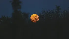 చైత్ర అమావాస్య.. ఈ రాశుల వారు ఇలా చేస్తే..