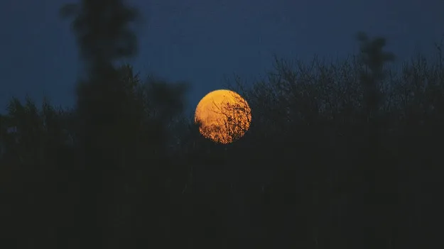 చైత్ర అమావాస్య.. ఈ రాశుల వారు ఇలా చేస్తే..