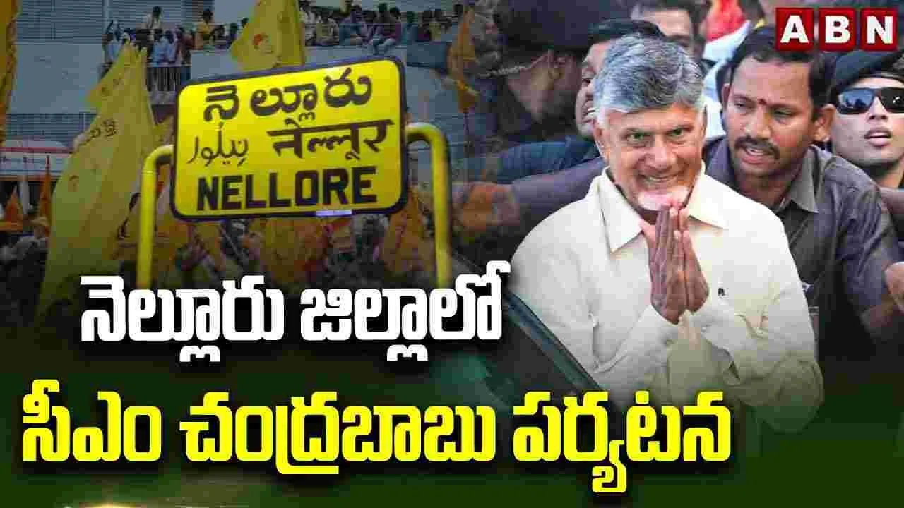 నెల్లూరు జిల్లాలో సీఎం చంద్రబాబు పర్యటన