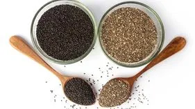 చియా, సబ్జా గింజల మధ్య తేడా ఏమిటి?