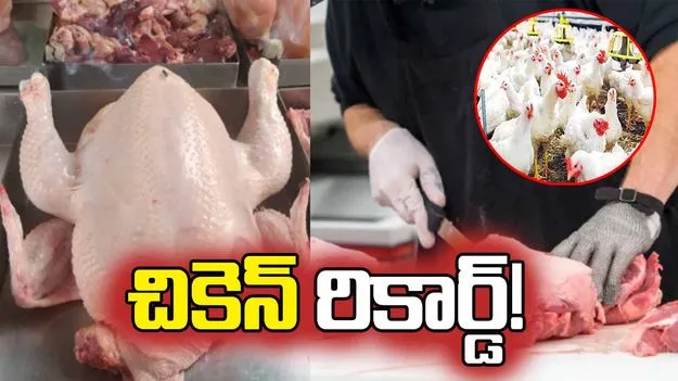 చికెన్‌ రికార్డ్‌.. కిలో ధర రూ 350, 370