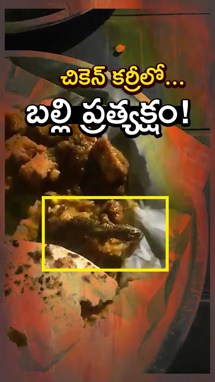 చికెన్ కర్రీలో బల్లి ప్రత్యక్షం!