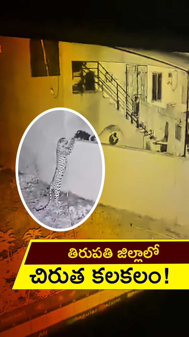 ABN Andhrajyothy Telugu Short News Video - Quick News Updates in 60 Seconds