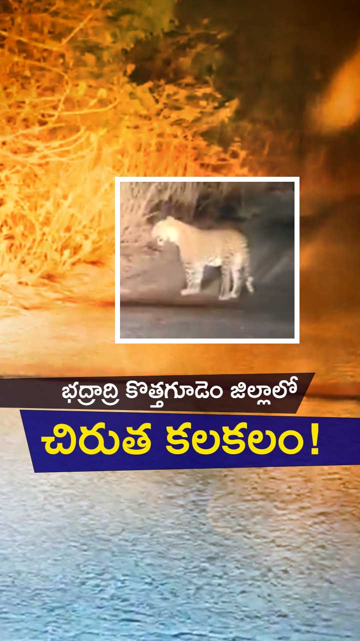 ABN Andhrajyothy Telugu Short News Video - Quick News Updates in 60 Seconds