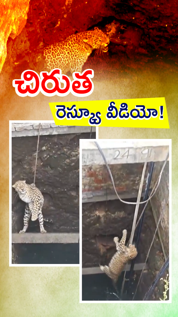 ABN Andhrajyothy Telugu Short News Video - Quick News Updates in 60 Seconds