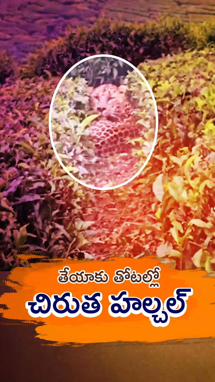 ABN Andhrajyothy Telugu Short News Video - Quick News Updates in 60 Seconds