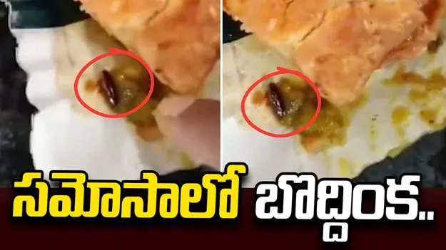 కస్టమర్‌కు ఊహించని షాక్.. సమోసాలో బొద్దింక.. 