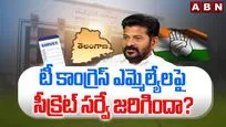 టీ కాంగ్రెస్ ఎమ్మెల్యేలపై సీక్రెట్ సర్వే జరిగిందా?