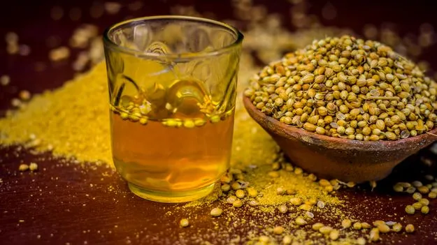 పరగడుపున ధనియాల నీళ్లు తాగవచ్చా?