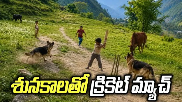 కుక్కలే ఫీల్డర్లు.. కొండల్లో చిన్నారుల క్రికెట్ సందడి.. నెటిజన్ల ఫిదా