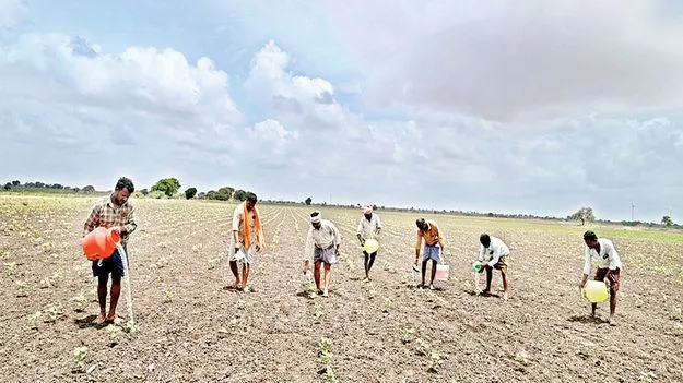 మొక్క మొక్కకూ నీరు