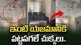 ఫ్లాట్‌లో యజమానికి పట్టపగలే చుక్కలు.. వీడియో వైరల్