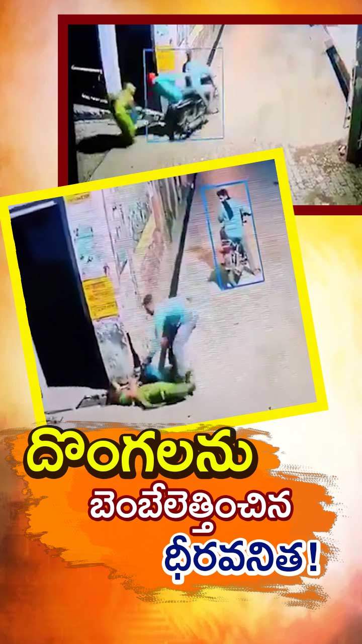 దొంగలతో తలపడ్డ మహిళ... వీడియో వైరల్!