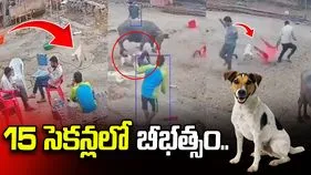 పిచ్చి కుక్క బీభత్సం.. 15 సెకన్లలో నలుగురిని కొరికేసింది..