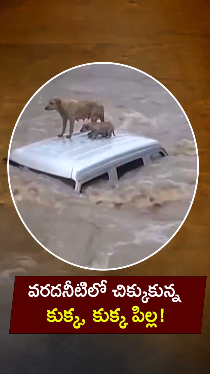 ABN Andhrajyothy Telugu Short News Video - Quick News Updates in 60 Seconds