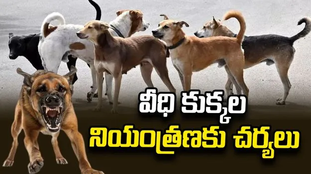 వీధి కుక్కల నియంత్రణకు చర్యలు.. ఏపీ హైకోర్టులో సీఎస్‌ సాయిప్రసాద్‌ అఫిడవిట్‌