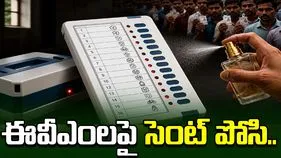 ఫాల్తాలో రీపోలింగ్.. వెలుగులోకి సంచలన విషయాలు.. 