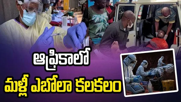 ఎబోలా కలకలం.. గ్లోబల్ ఎమర్జెన్సీని ప్రకటించిన ప్రపంచ ఆరోగ్య సంస్థ