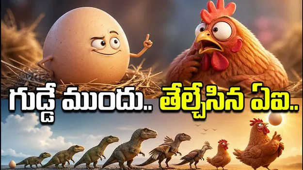 కోడి ముందా.. గుడ్డు ముందా.. అంతుచిక్కని ప్రశ్నకు సమాధానం చెప్పిన ఏఐ.. 