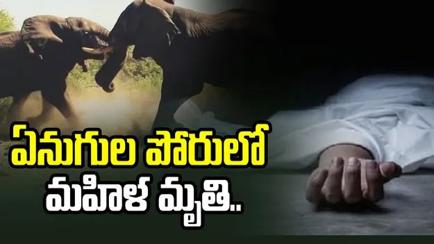  ఏనుగుల బీభత్సం.. మహిళ మృతి